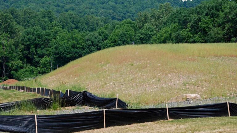 A hillside surrounded by construction fencing in preparation.