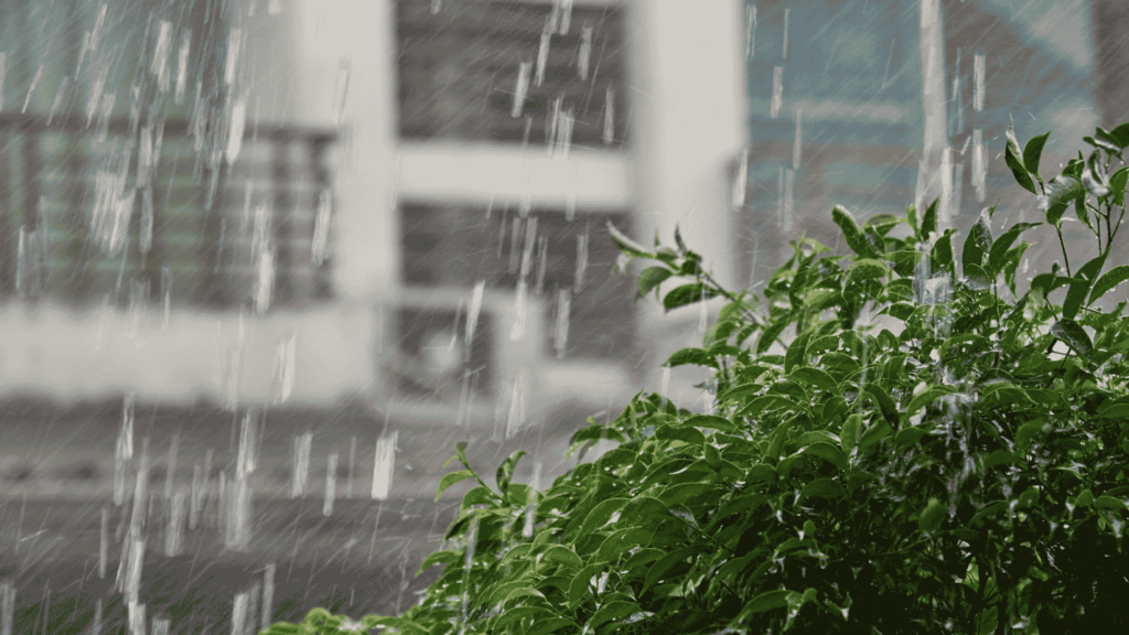 A tree and apartment building being rained on.