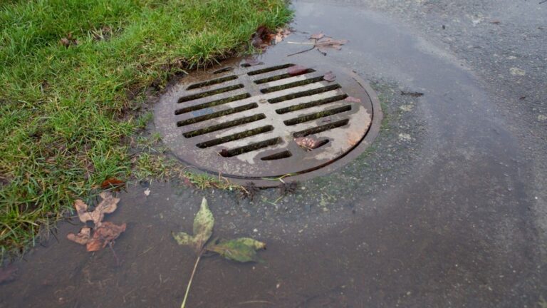 A storm drain on a pavement path surrounded by stormwater.