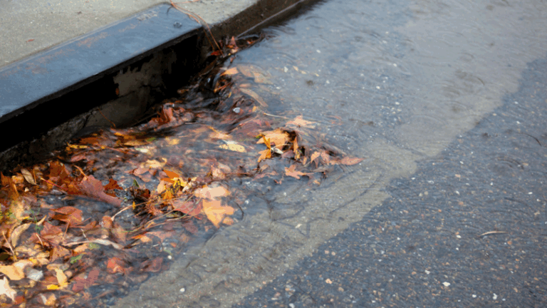 A clogged storm drain surrounded with water pooling all around it.
